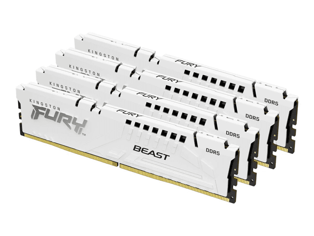 Kingston FURY Beast