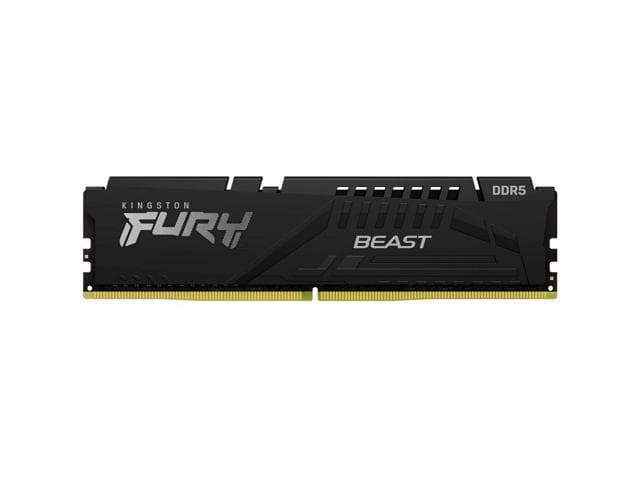Kingston FURY Beast