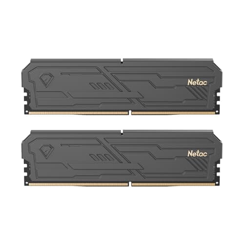 Netac DRAM Kit Dual Channel 1.35V Upgraded Aluminum Heat Sink Ideal for Gaming Computer Up