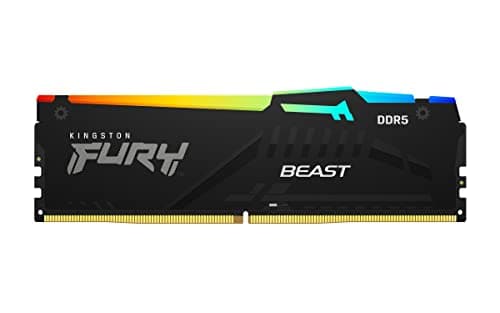 Kingston FURY Beast