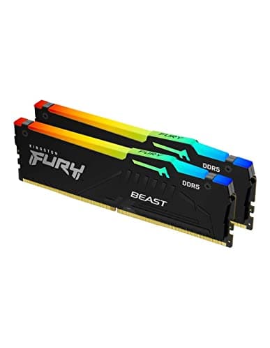 Kingston FURY Beast