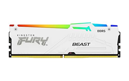 Kingston FURY Beast