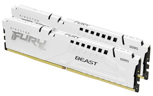 Kingston FURY Beast