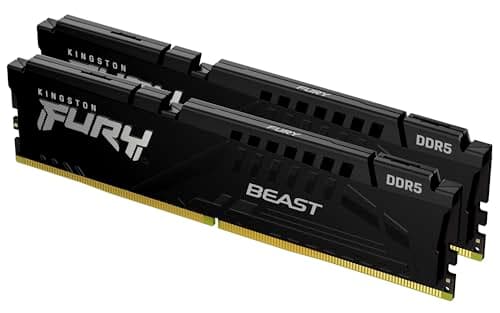 Kingston FURY Beast