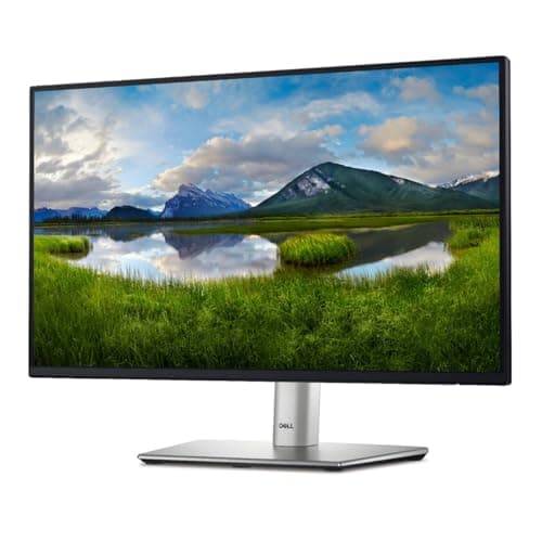 DELL Pro Plus P2425H Black